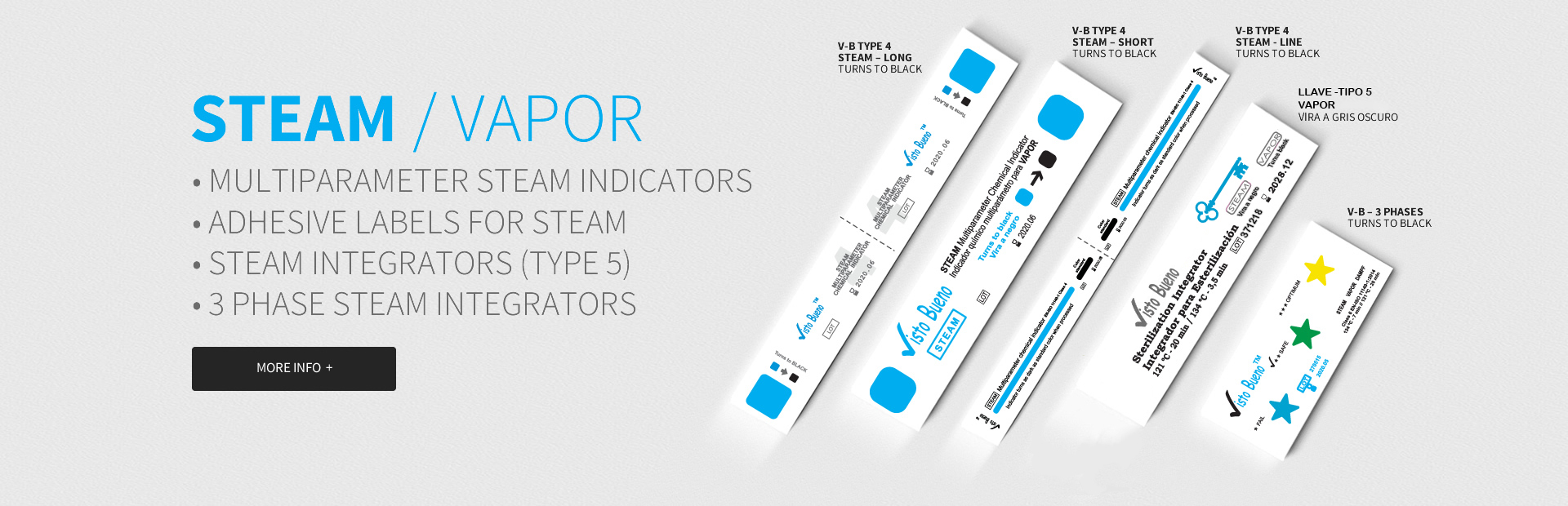 Química Del Santo - Steam Indicator
